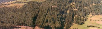 Il viadotto e la montagna - Armonia tra struttura e paesaggio alpino
